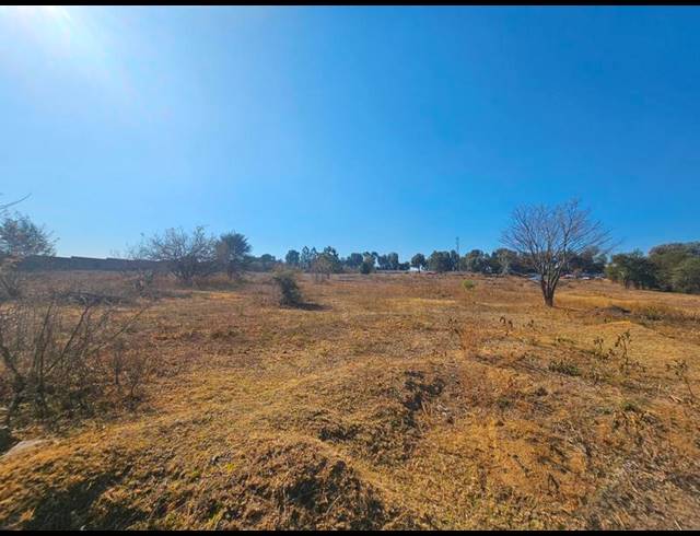 FARM FOR SALE IN ZONNEHOEWE